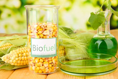 Rothney biofuel availability